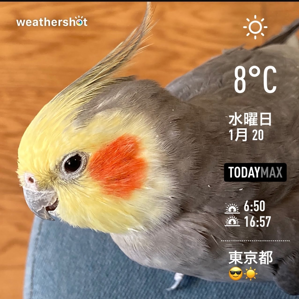 WeatherShot（2021-01-20）