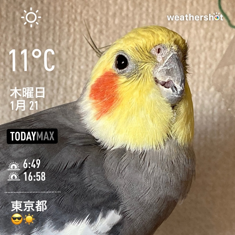 WeatherShot（2021-01-21）