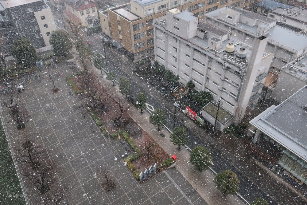 雪（2021-01-28 15:27）