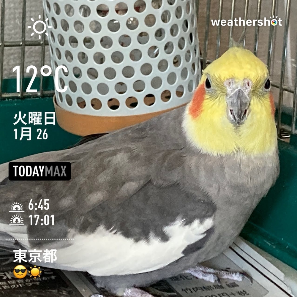 WeatherShot（2021-01-26）