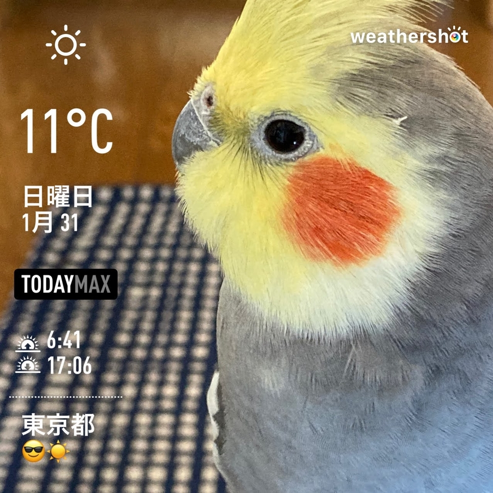 WeatherShot（2021-01-31）