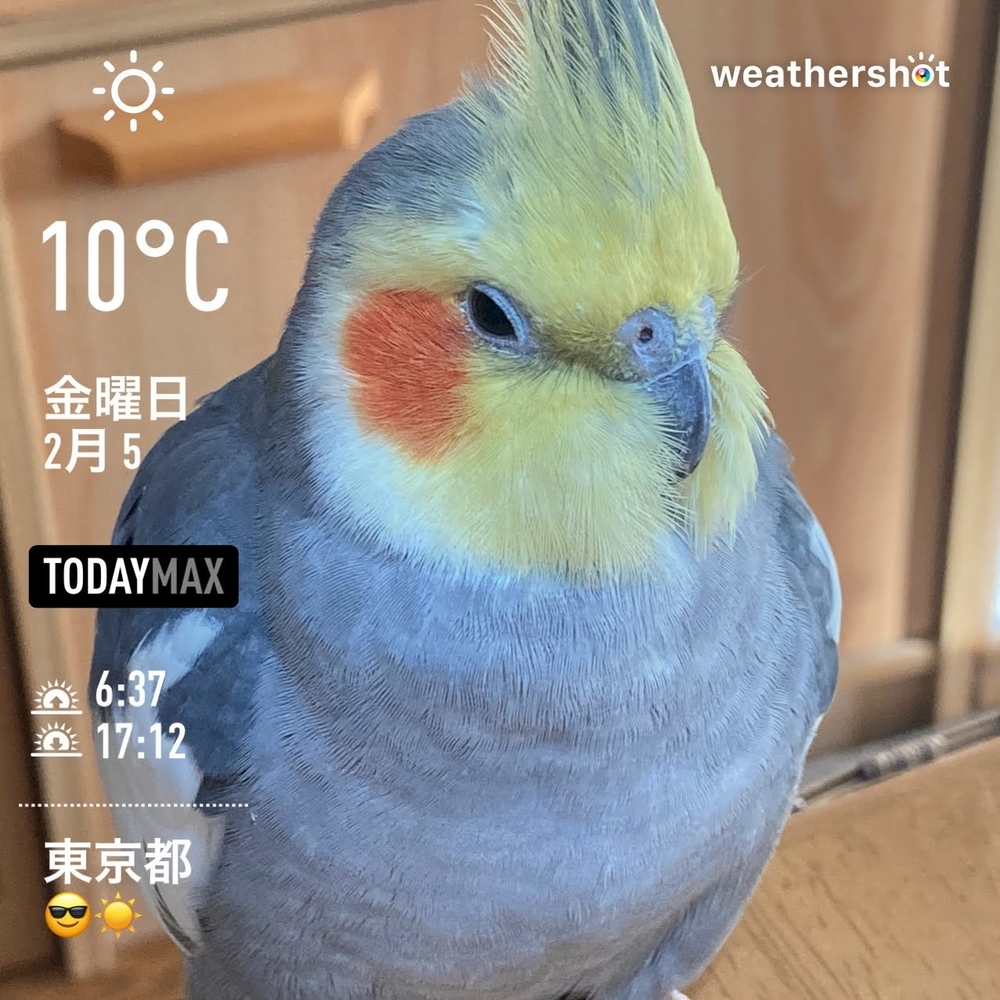 WeatherShot（2021-02-05）