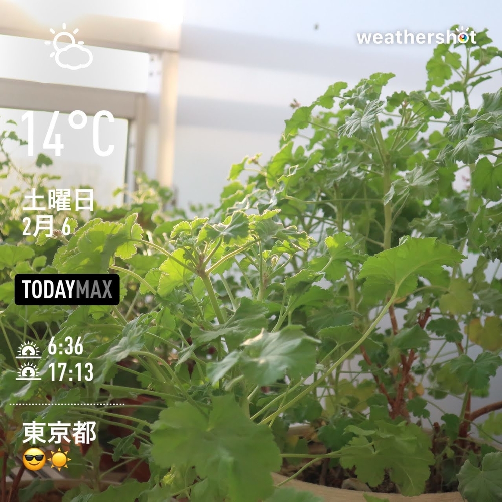 WeatherShot(2021-02-06)
