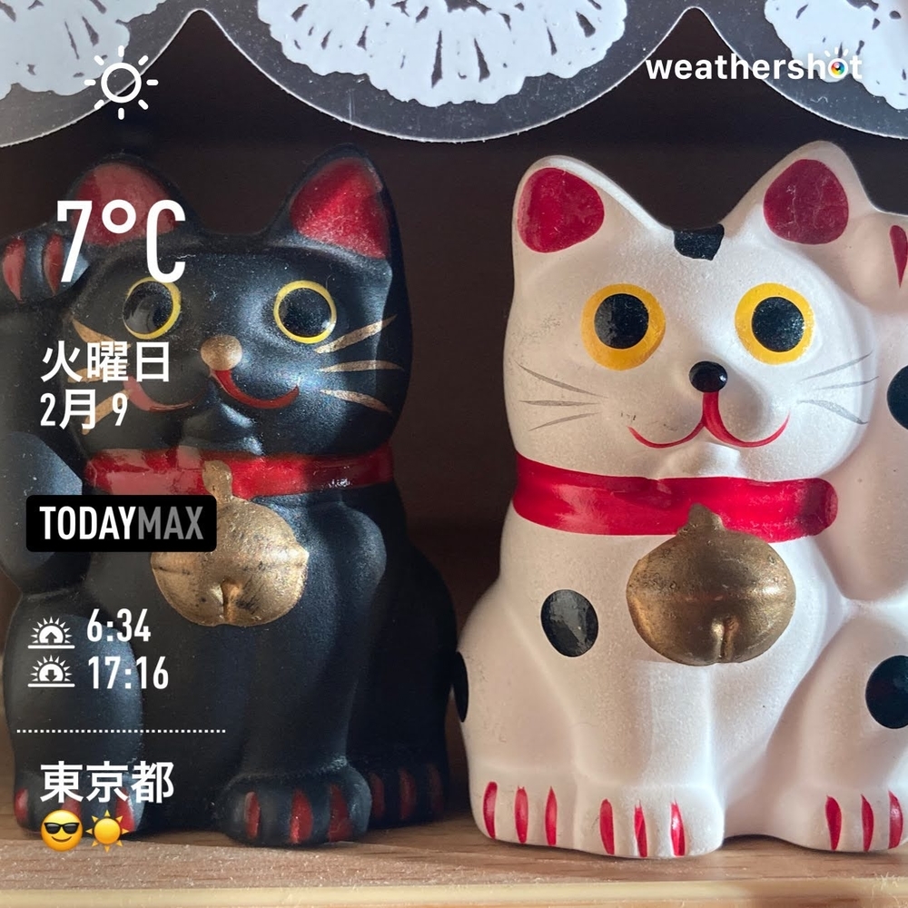 WeatherShot(2021-02-09)