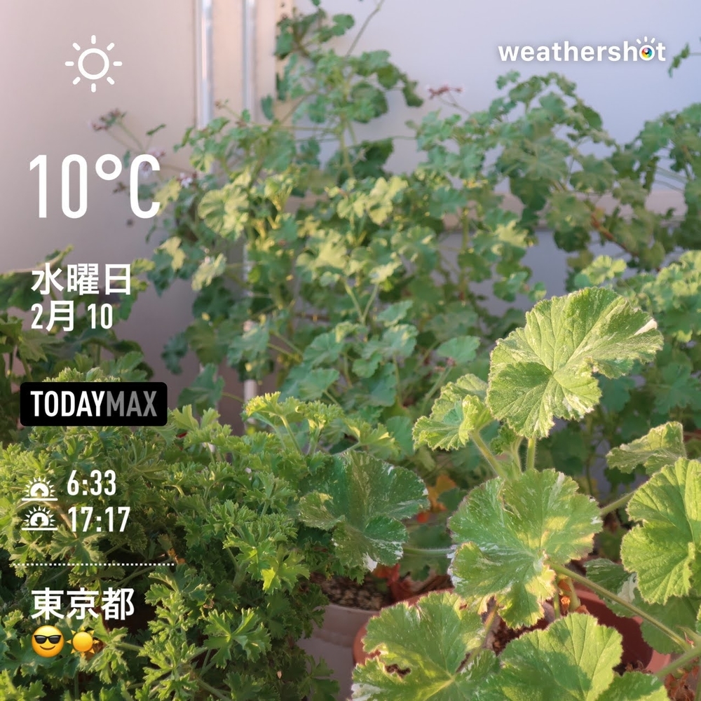 WeatherShot（2021-02-10）