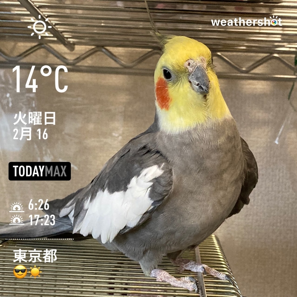 WeatherShot（2021-02-16）