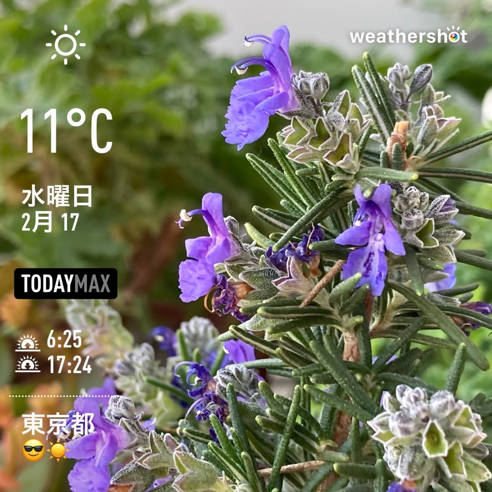 WeatherShot(2021-02-17)