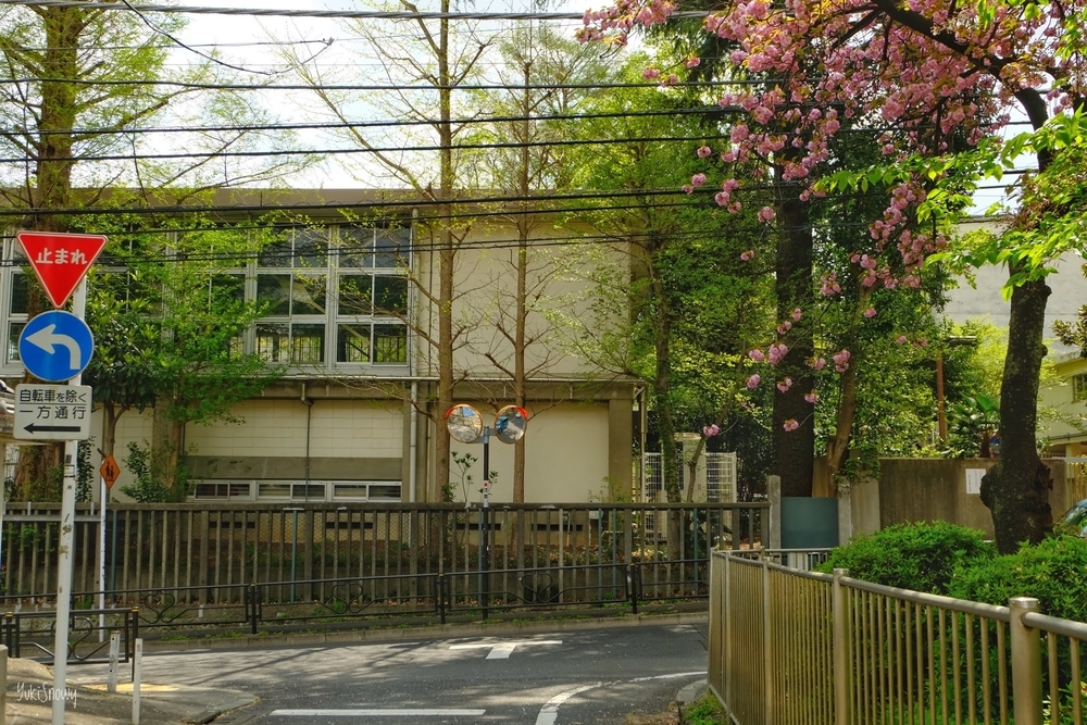 大塚3丁目窪町公園横から筑波大付属小方面(2021-04-03)