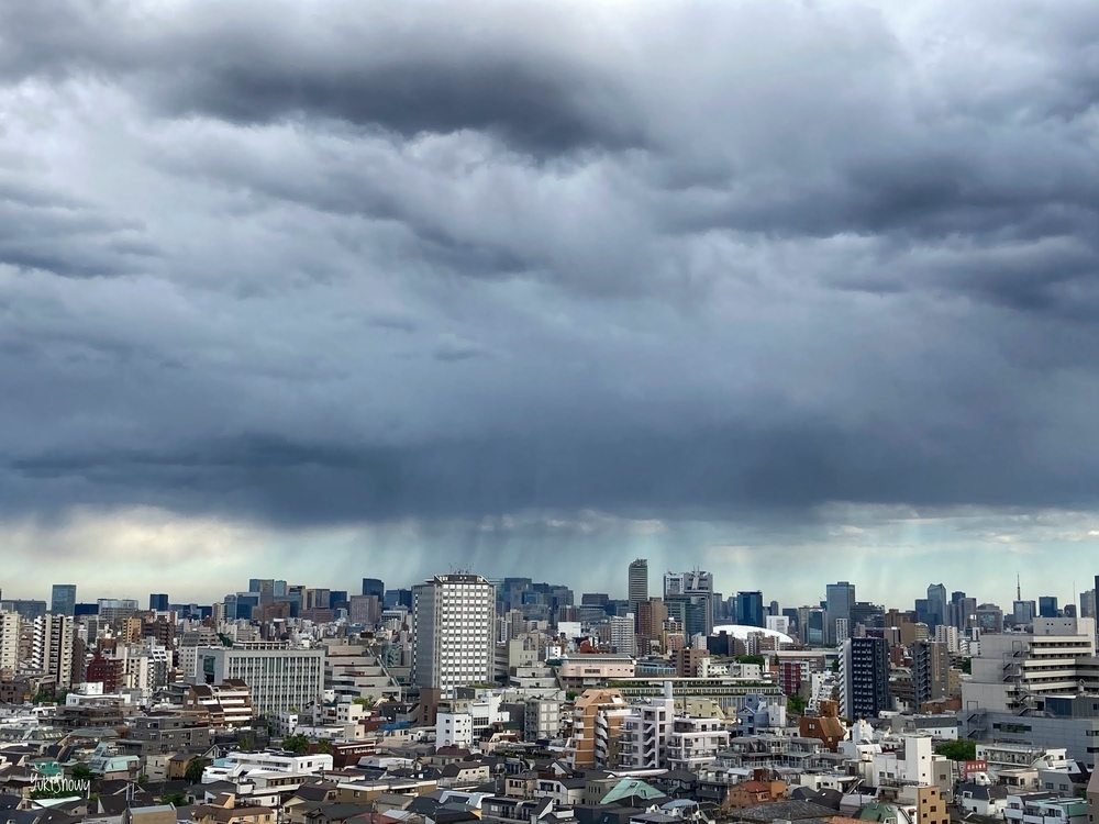 羽田空港辺りで降っている雨(2021-05-02 16:28)