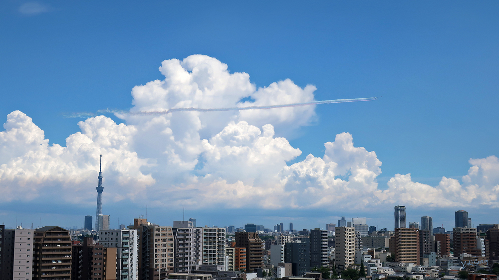 ブルーインパルス(2021-07-23 12:53)