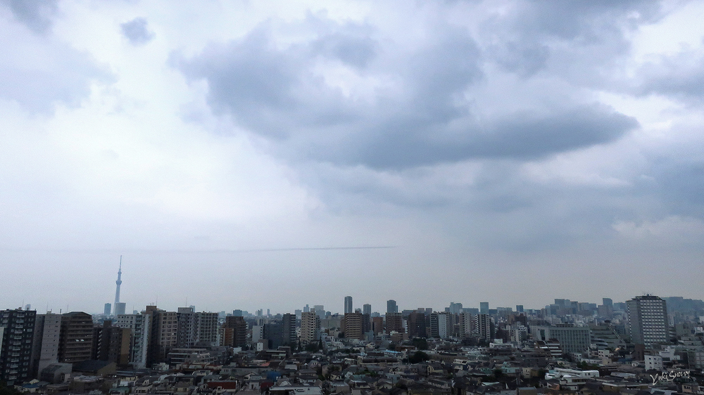 ブルーインパルス(2021-08-24 14:08)