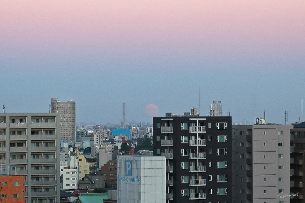 月齢13(2021-09-20 17:43)