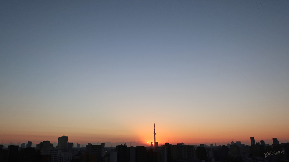 (2021-11-06 06:12)