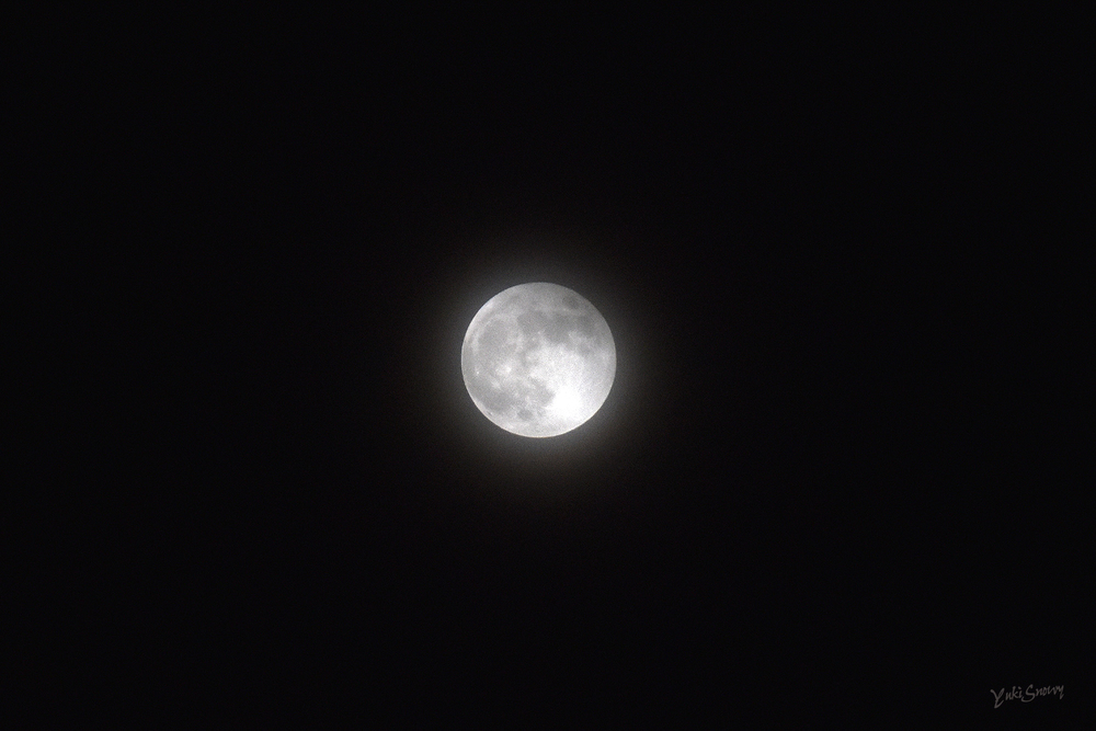 部分月食(2021-11-19 20:15)