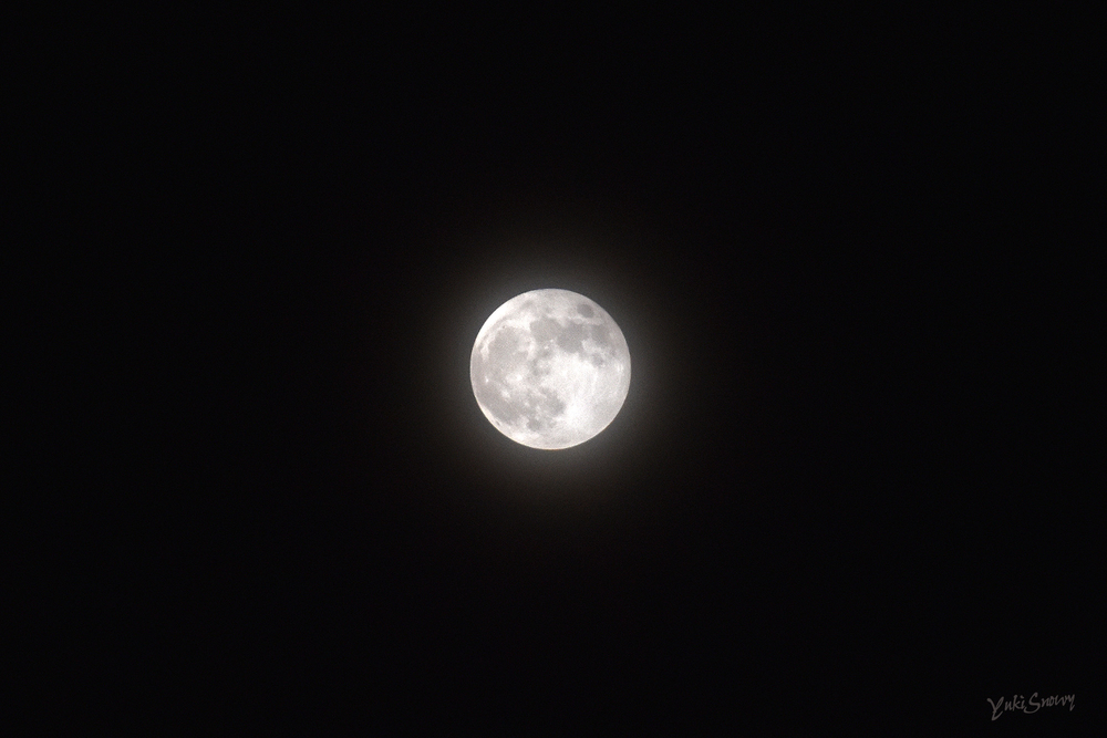 部分月食(2021-11-19 20:33)