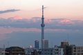 [夕暮れ][空][雲][東京]（2021-11-23 16:27）