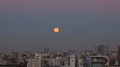 [空][東京][月]満月 Full Christmas Moon（2021-12-19 16:38）