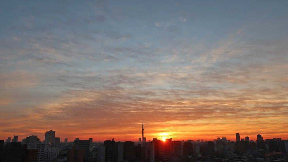 (2022-01-17 06:53)