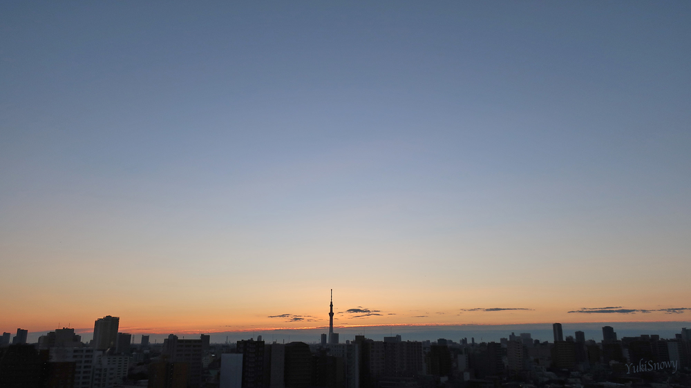 (2022-01-31 06:46)