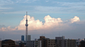 [夕暮れ][空][雲][東京]（2022-08-07 16:48）