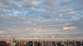 [空][雲][東京][夕暮れ]（2022-08-28 17:48）