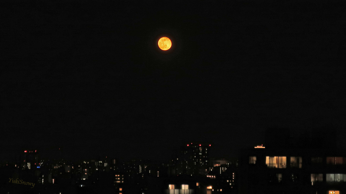 十六夜(2023-01-08 18:09)