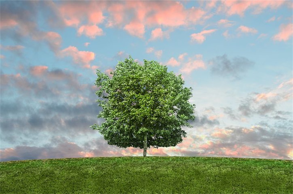 f:id:SolViento:20220121220740j:image