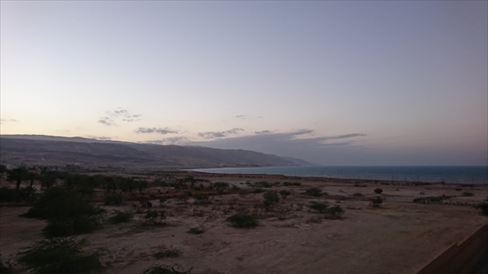 f:id:Solarismile:20190121234656j:plain