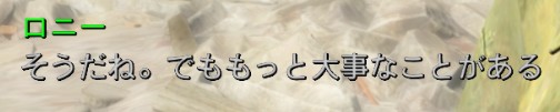 f:id:SoleSurvivor:20180428172235j:plain f:id:SoleSurvivor:20180428172235j:plain