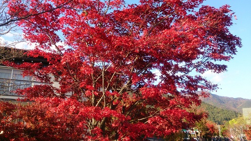 f:id:Solisquale:20191110231523j:plain