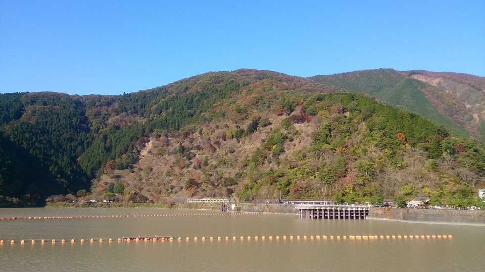 f:id:Solisquale:20191110231812j:plain