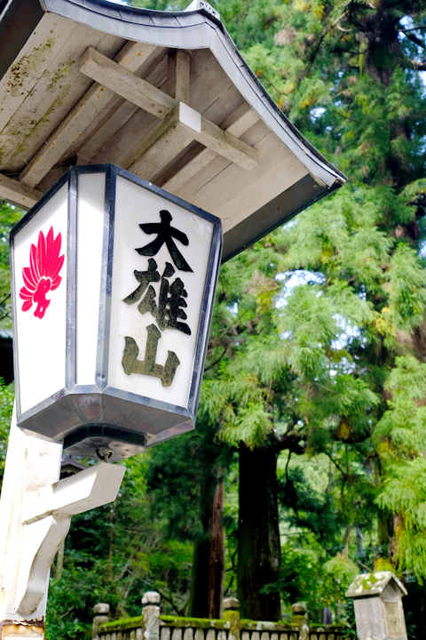 f:id:Solomon_JP:20191030214638j:plain f:id:Solomon_JP:20191030214638j:plain