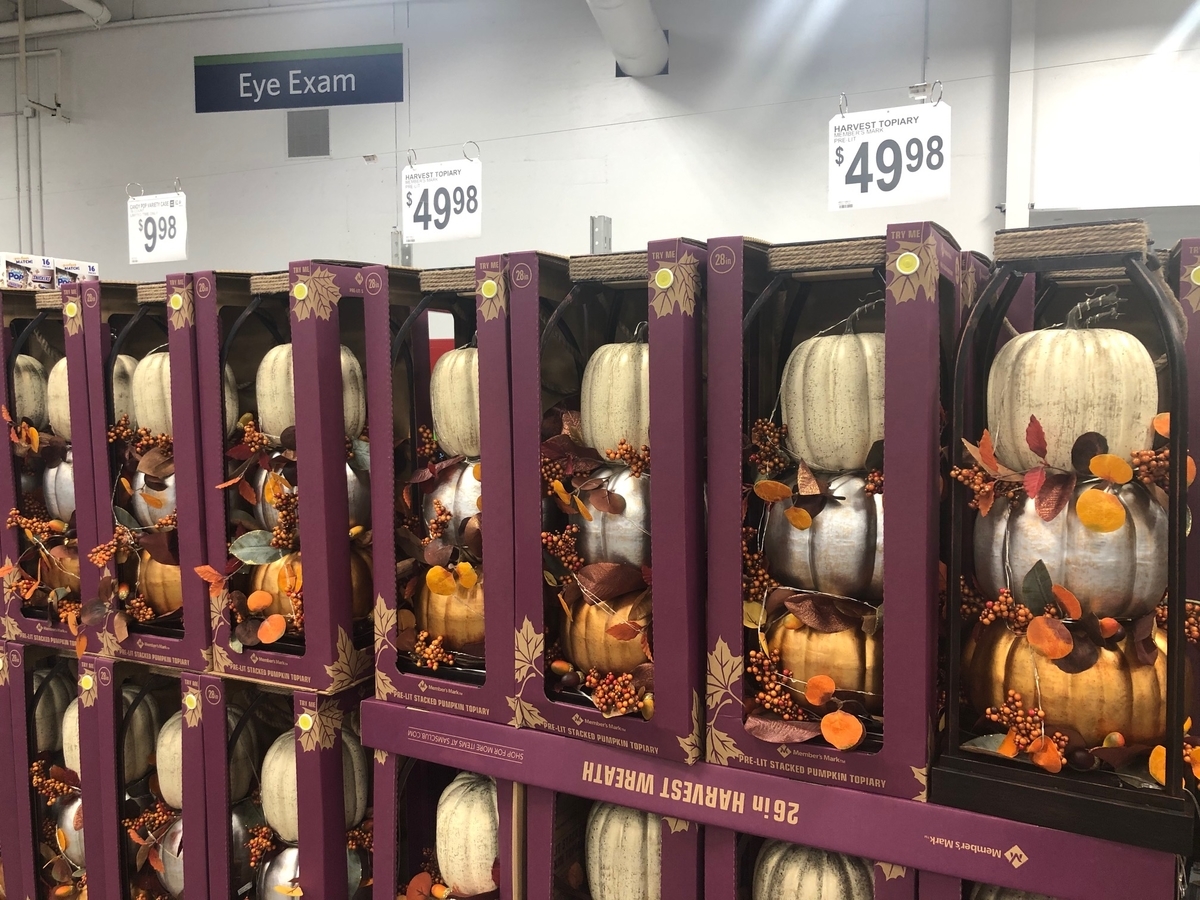 f:id:Sophiemardi:20201020112427j:plain