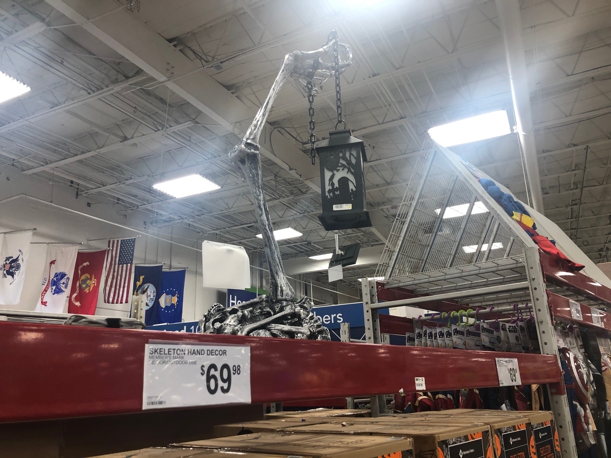 f:id:Sophiemardi:20201020112552j:plain