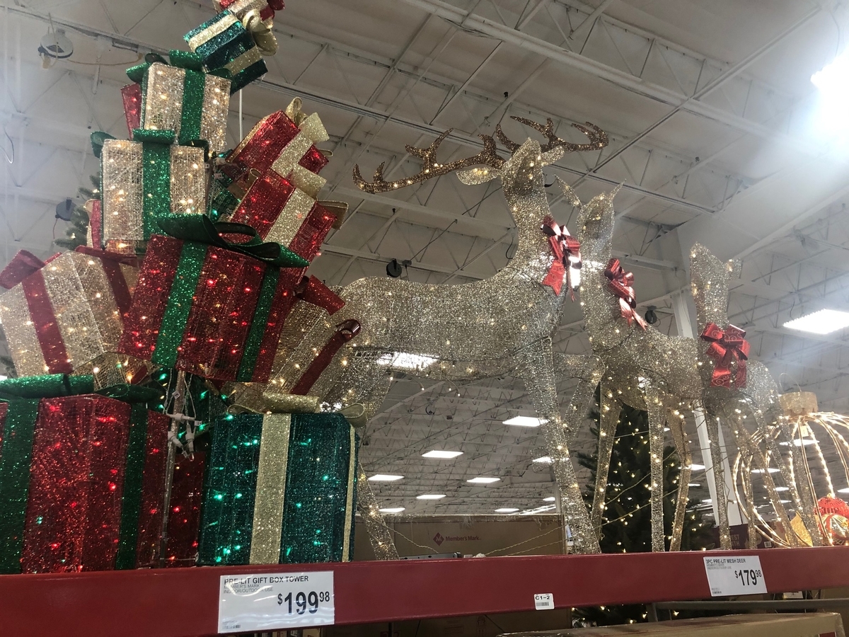 f:id:Sophiemardi:20201020113134j:plain