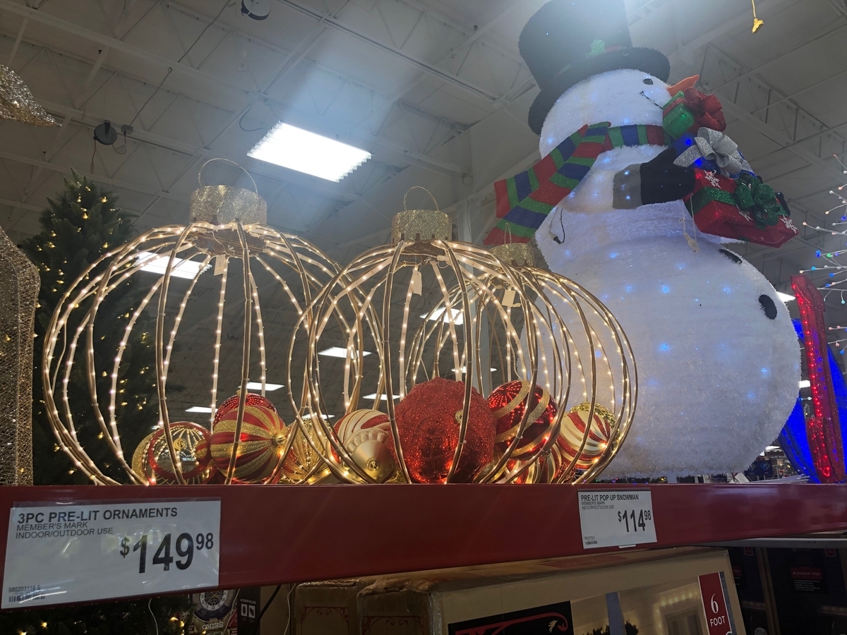 f:id:Sophiemardi:20201020113221j:plain