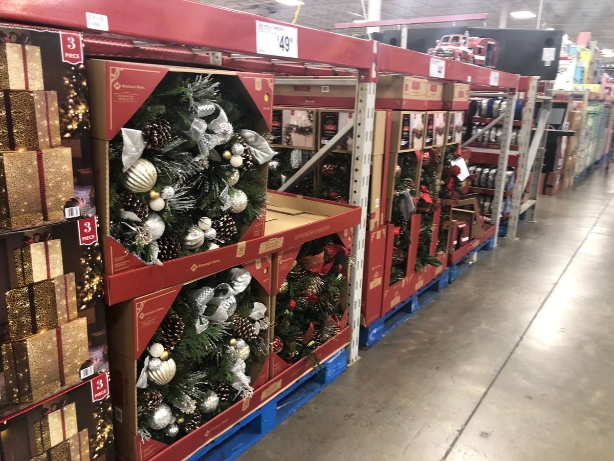 f:id:Sophiemardi:20201020113319j:plain