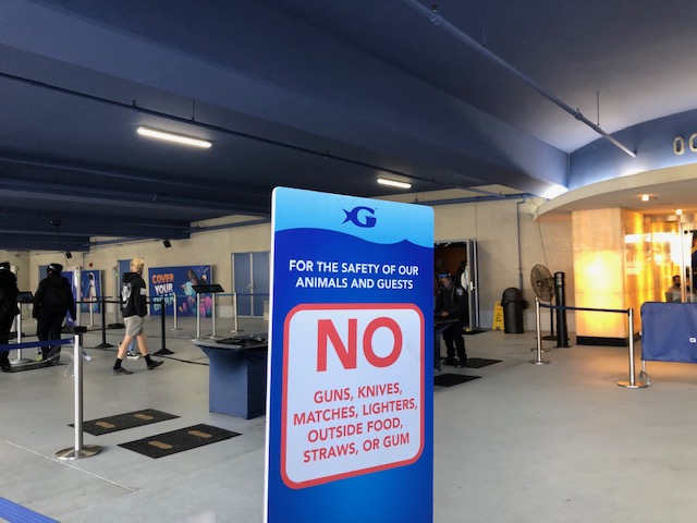 f:id:Sophiemardi:20201026095248j:plain