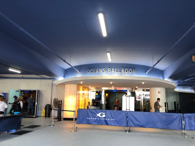 f:id:Sophiemardi:20201026095312j:plain