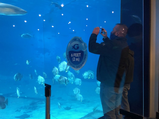 f:id:Sophiemardi:20201026100013j:plain