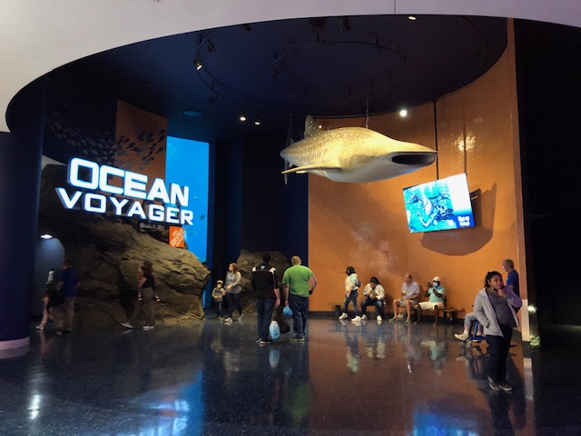 f:id:Sophiemardi:20201026101115j:plain