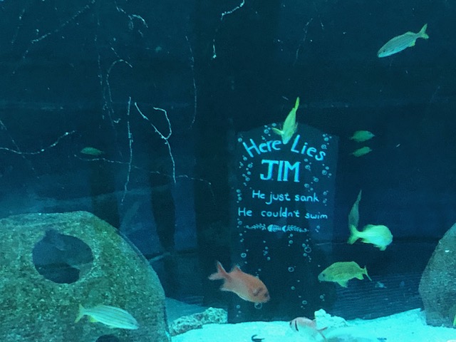 f:id:Sophiemardi:20201026101233j:plain