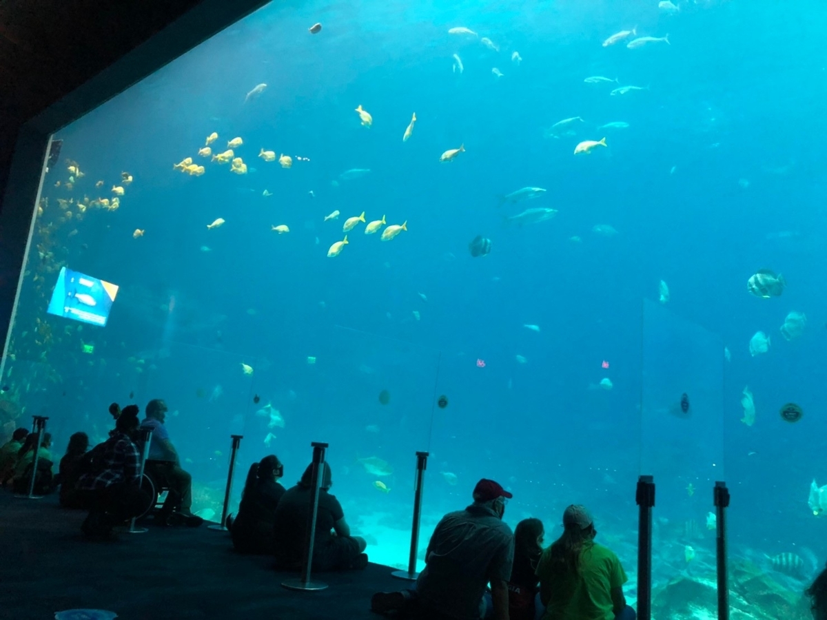 f:id:Sophiemardi:20201026101436j:plain