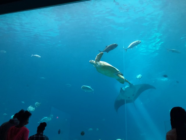 f:id:Sophiemardi:20201026101515j:plain