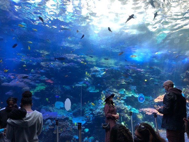 f:id:Sophiemardi:20201026102203j:plain