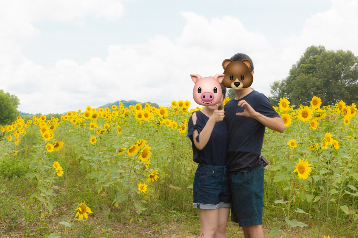 f:id:Sophiemardi:20210729112405j:plain