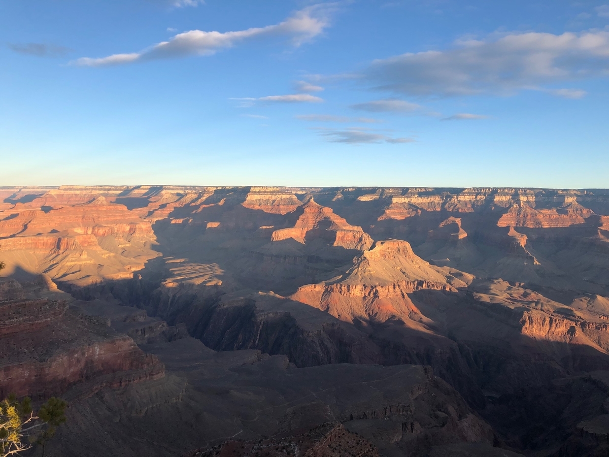 f:id:Sophiemardi:20210730113635j:plain