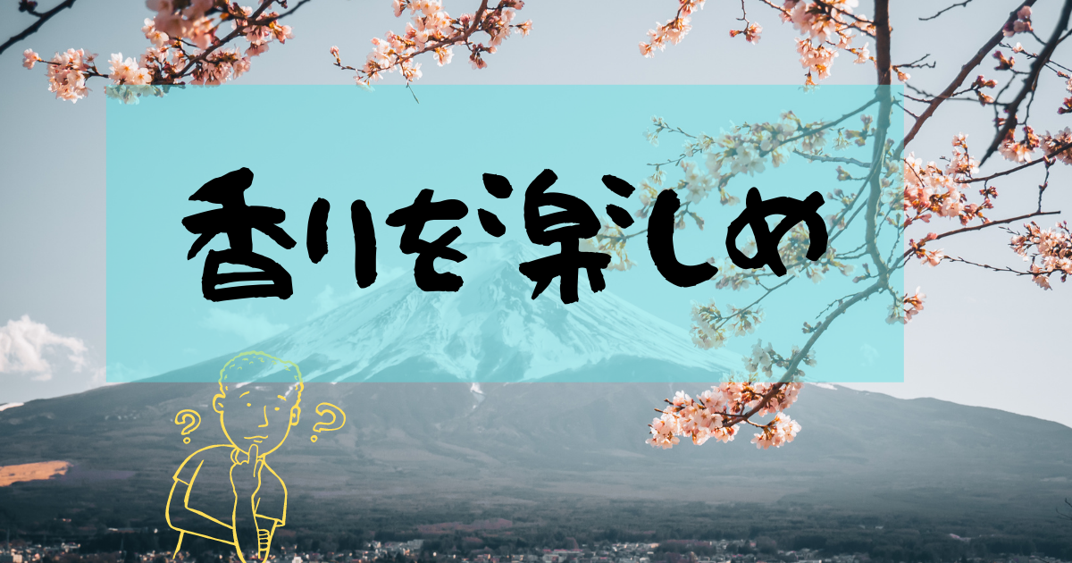 f:id:SorasBlog:20210910010348p:plain