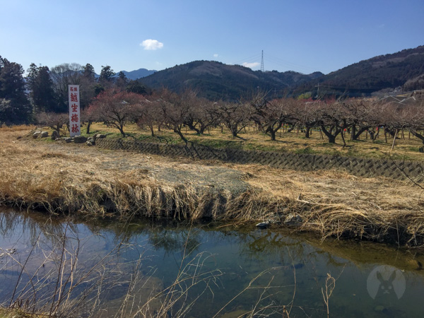 f:id:Sorausa:20180227185625j:plain