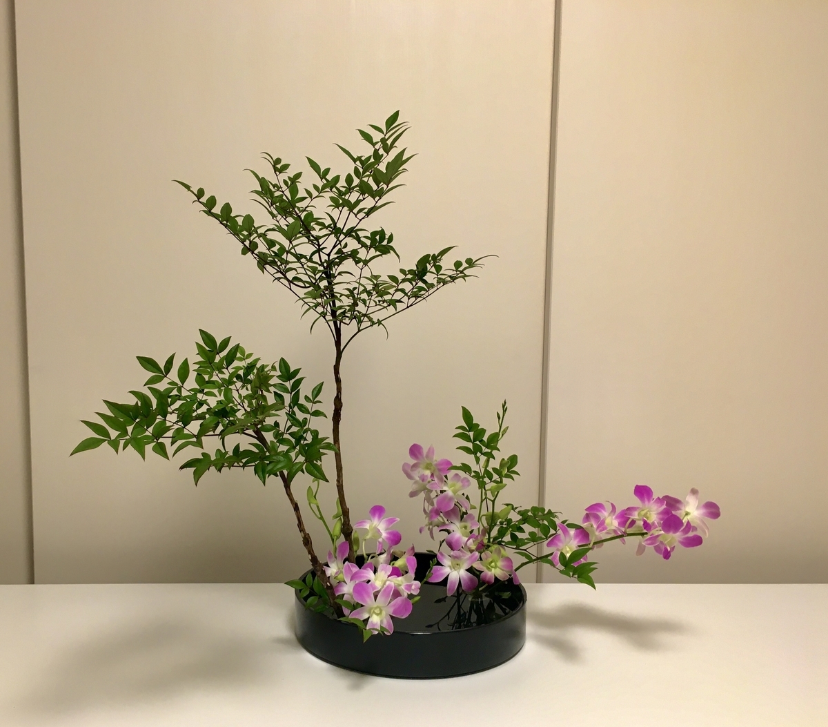 昨日のお稽古：21 Nov 2020 - 花をいけてみたら変わること